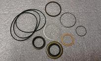 24664 RS MOTOR SEAL KIT